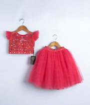 Pink Handwork Crop Top with Full Length skirt For Baby Girl (2079]