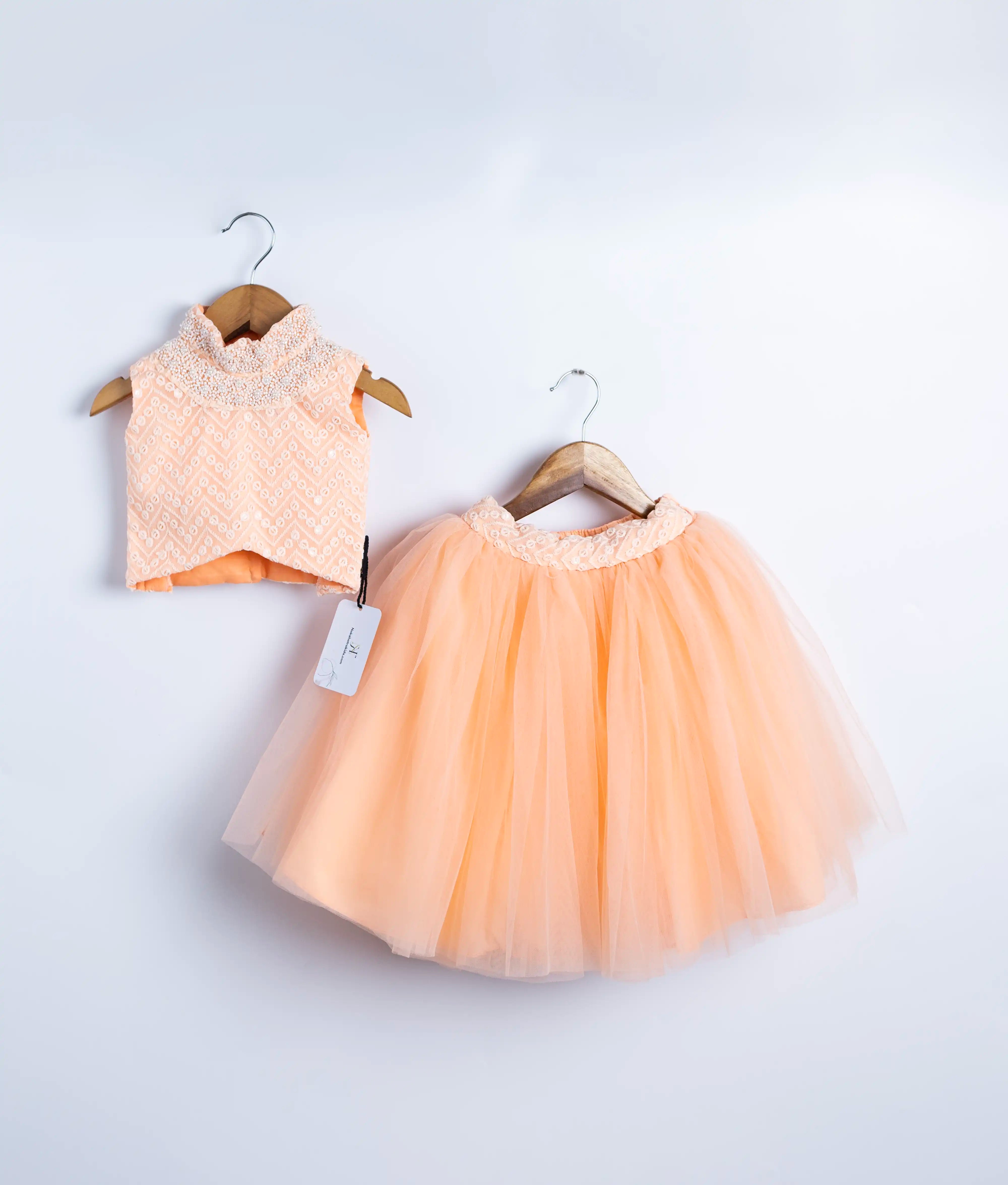 Peach Tulle Net Handworked Crop Top With Full Length Skirt For Baby Girl [2181]