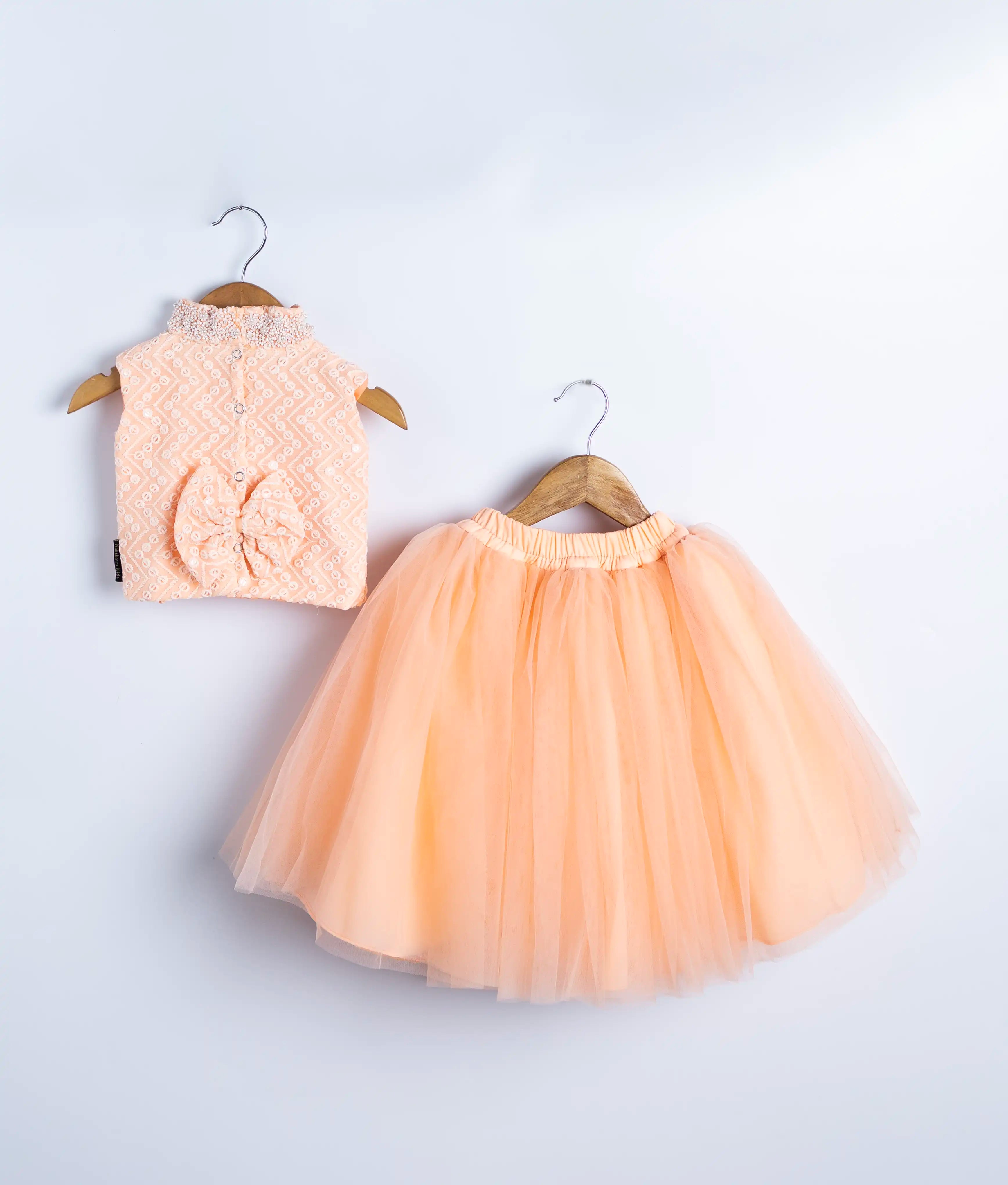 Peach Tulle Net Handworked Crop Top With Full Length Skirt For Baby Girl [2181]