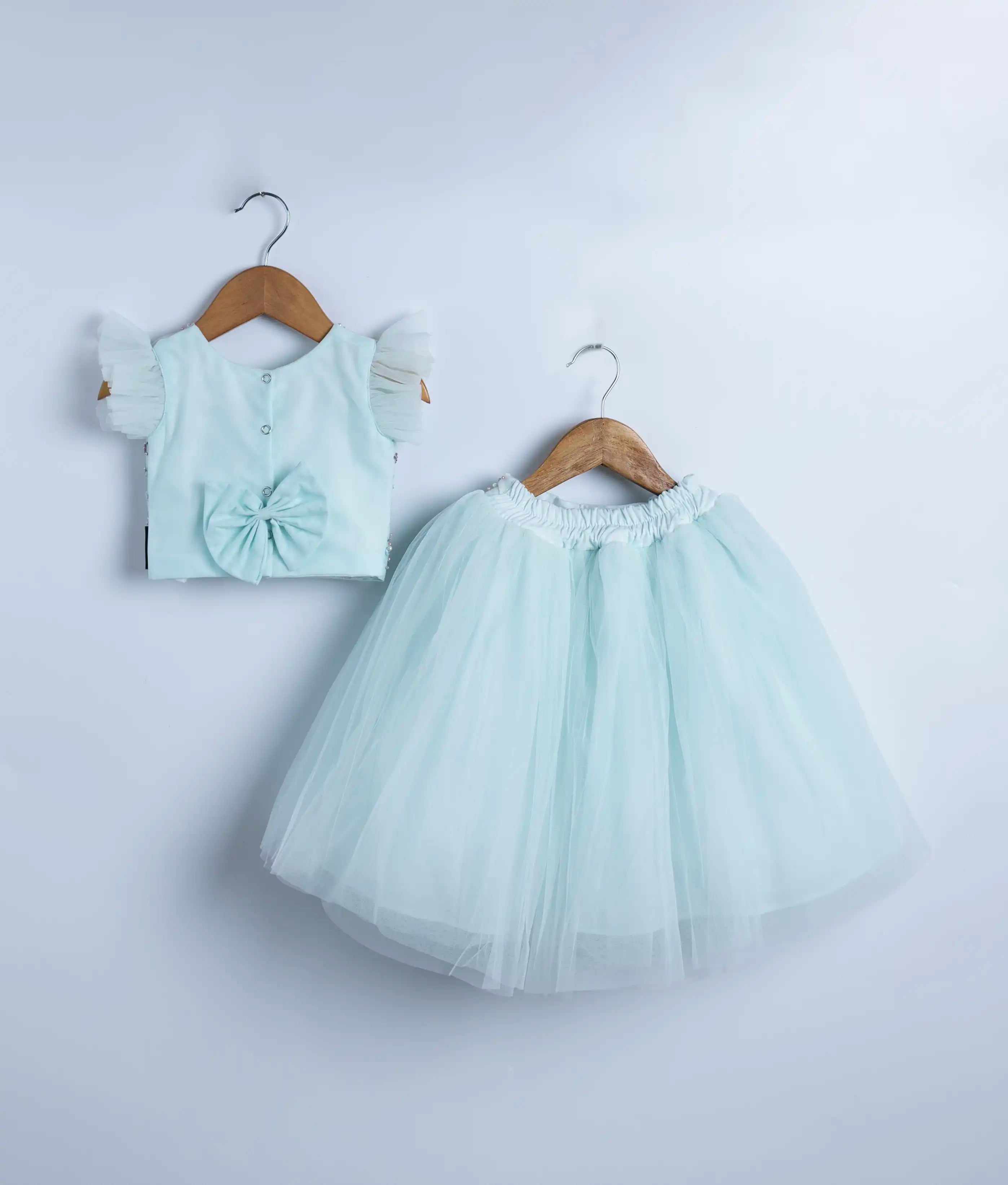 Powder Blue Tulle Net Handworked Crop Top With Full Length Skirt For Baby Girl [2339]