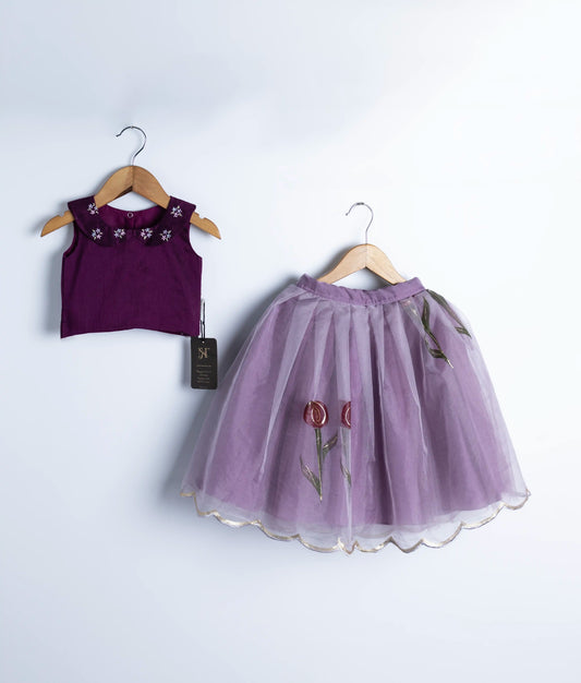 Elegant Crop Top With Organza Skirt  (2632)