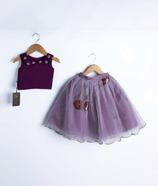 Elegant Crop Top With Organza Skirt  (2657)