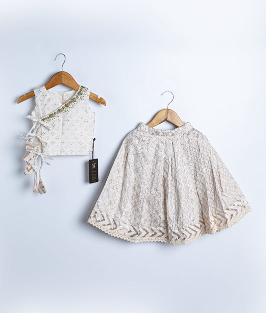 Luxurious Handwork Top and Skirt  (2820)