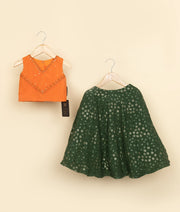 Orange Handworked Crop top With Georgetta Full Length Skirt For Baby Girl [5192]