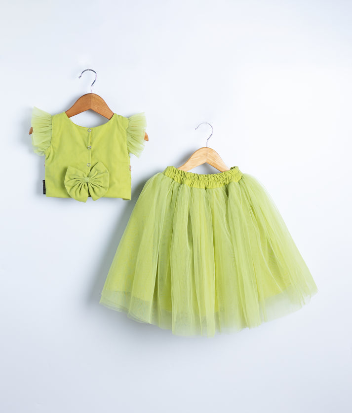 Pastel Green Tulle Net Handworked Crop Top With Full Length Skirt For Baby Girl [Ready to ship :7288A]