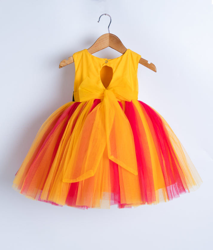 Multicolour Tulle Net Embroidery Casual Frock For Baby Girl [8000]