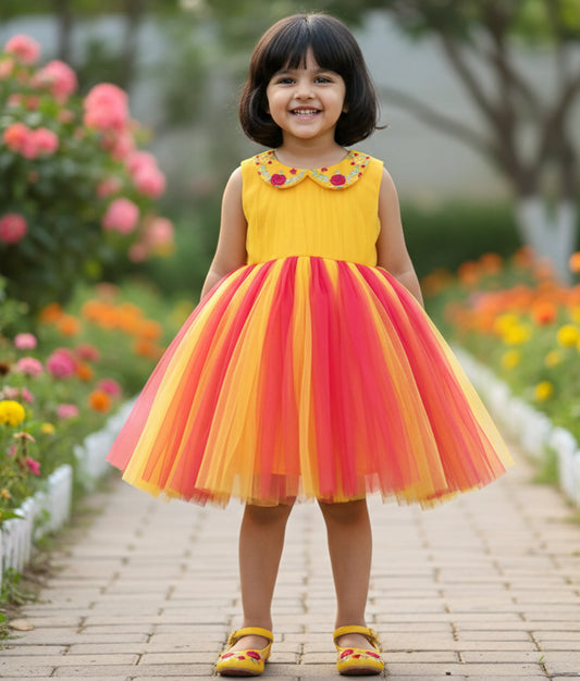 Multicolour Tulle Net Embroidery Casual Frock For Baby Girl [Ready To Ship: 8000]