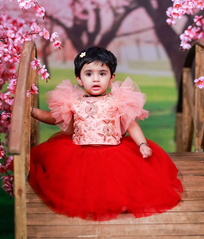 Peach Handwork Crop Top with Maroon Full Length Skirt For Diwali [7460]