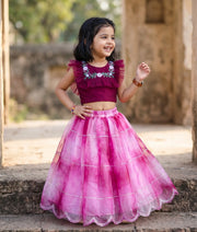 Grapewine Embroidery   Crop Top with Full Length Organza Skirt For Pongal [2139]