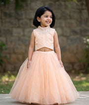 Peach Tulle Net Handworked Crop Top With Full Length Skirt For Baby Girl [2181]