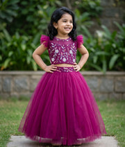 Grape Wine Tulle Net Handworked Skirt and  Top For Baby Girl [2198]