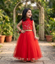Hot Pink Tulle Net Hand worked Skirt and Top for Baby Girl [2203]