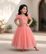 Pink Tulle Net Handworked Crop Top With Full Length Skirt For Baby Girl [2273]