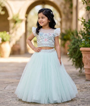 Powder Blue Tulle Net Handworked Crop Top With Full Length Skirt For Baby Girl [2339]