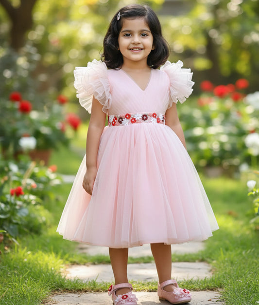 Pastel Pink Tulle Net Handworked Birthday Frock ForBaby Girl [Ready To Ship :2439]