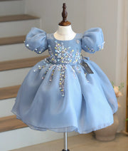 Ash Plain Organza Handworked Flower Theme Dress For Baby Girl [2764A]