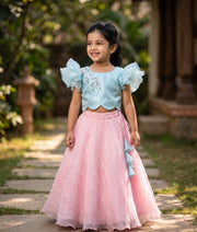 Blue And Pink Crop Top and Full Skirt For Baby Girls [2879]