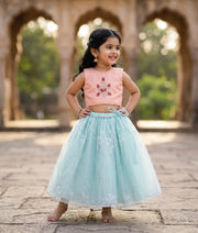 Powder Peach  Hand worked Crop Top with Full Length Blue Organza Skirt for Baby Girl [5196]