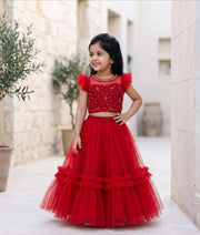 Maroon Tulle Net Handworked Crop Top With Full Length Skirt For Baby Girl [7122]