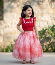 Red Embroidery Crop Top with Full Length Organza Skirt For Baby Girl [7909]
