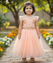Peach Tulle Net Handworked Crop Top with Full Length Skirt For Baby Girl  [2244]