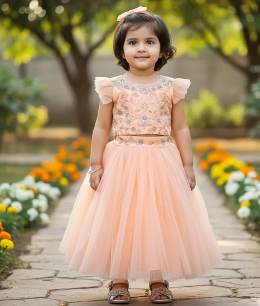 Peach Tulle Net Handworked Crop Top with Full Length Skirt For Baby Girl  [Ready to ship :2244]