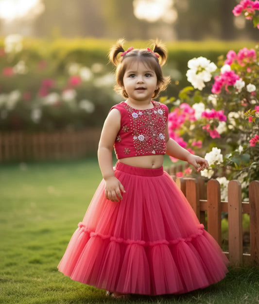 Dark Pink Tulle Net Handworked Crop Top With Full Length Skirt [Ready to ship :2698]