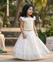 Off-white Work Material Top With Banarasi Skirt For Baby Girl [2803]