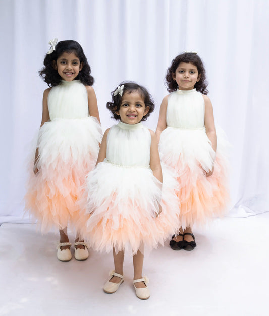 Fayonkids Luxurious Feather Frock  (7681)