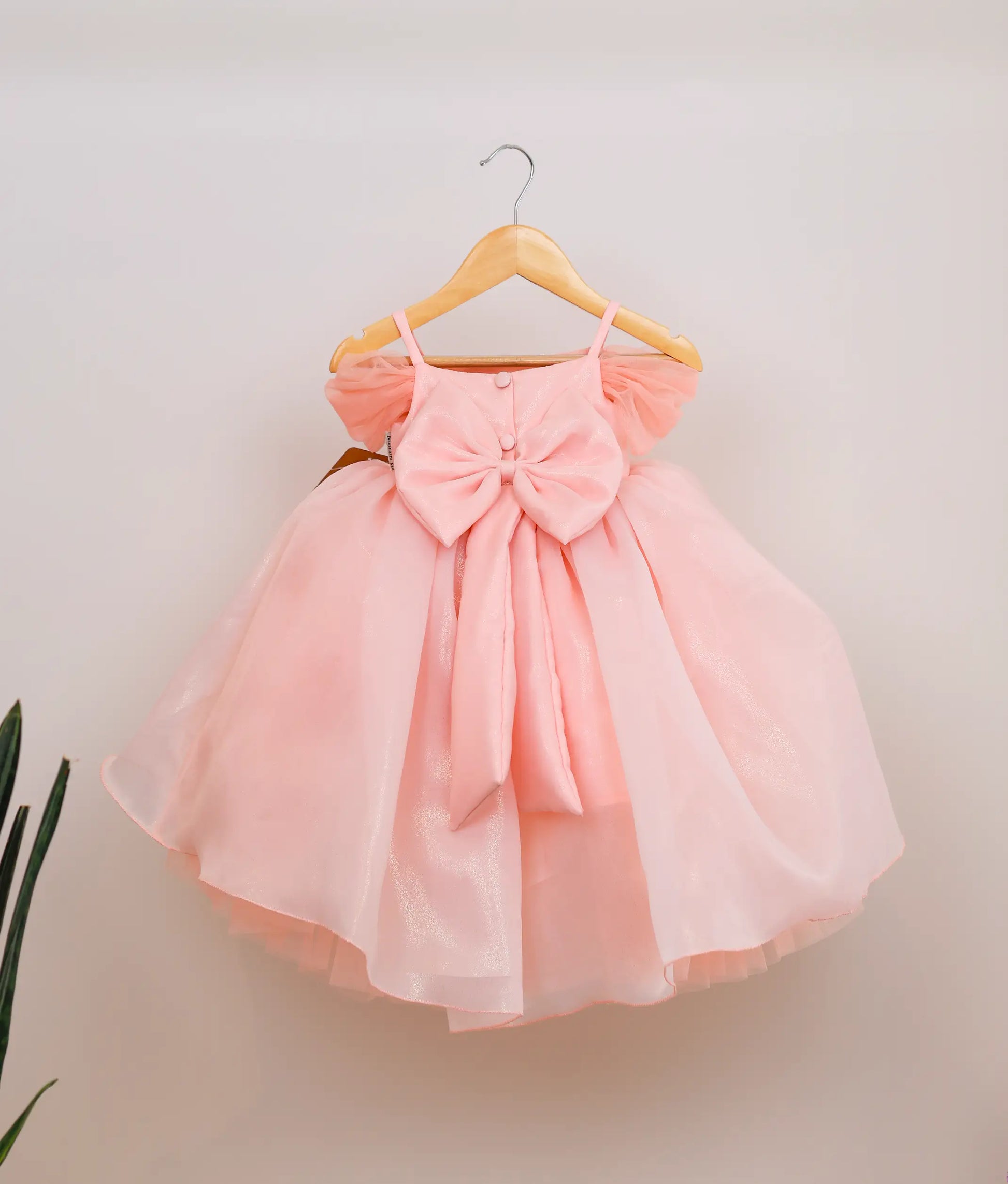 Back view of peach shimmer organza disney princess theme birthday frock